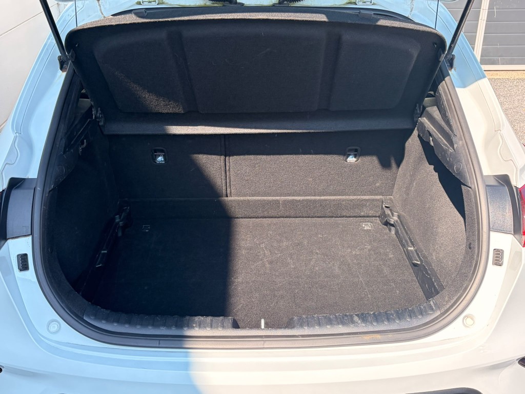 Trunk