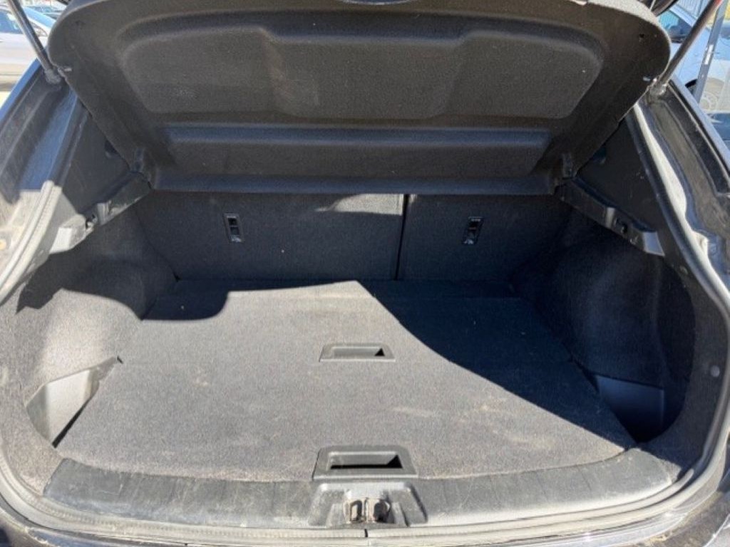 Trunk