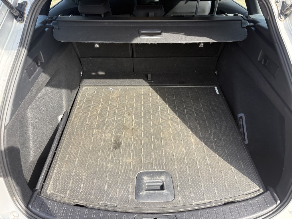 Trunk