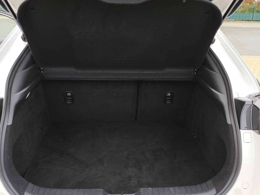 Trunk