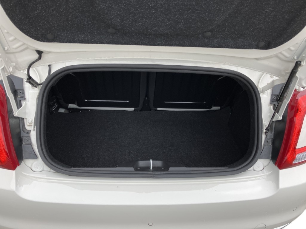 Trunk
