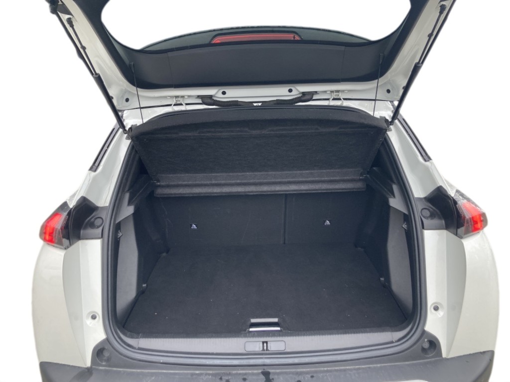 Trunk