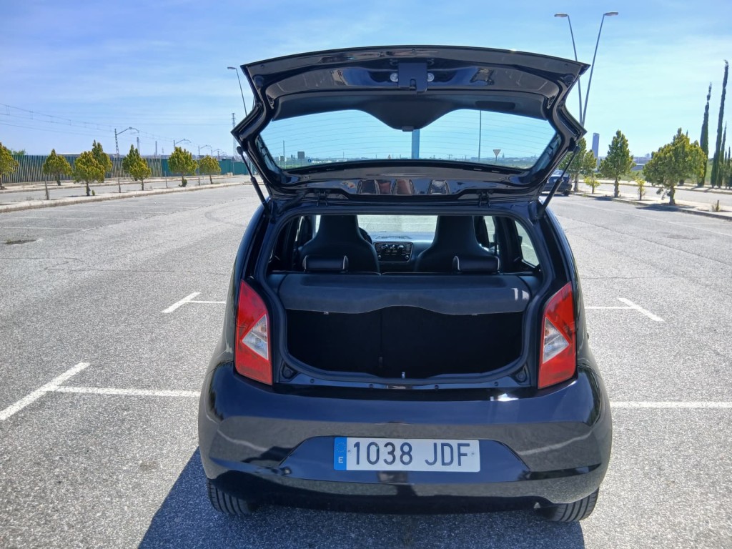 Trunk