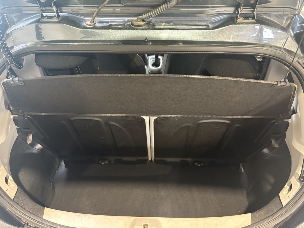 Trunk