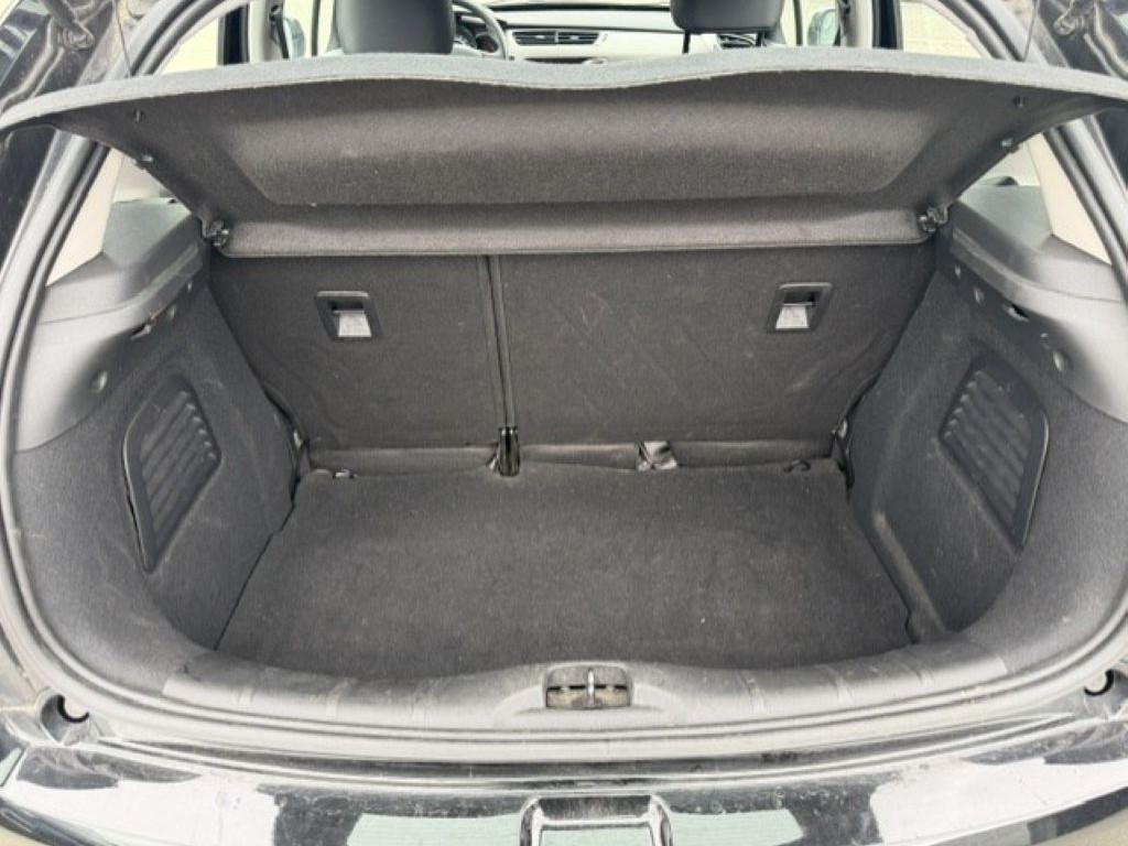 Trunk