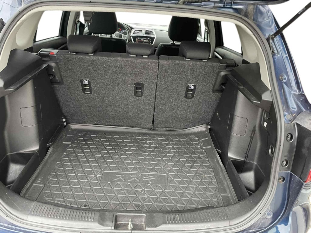 Trunk