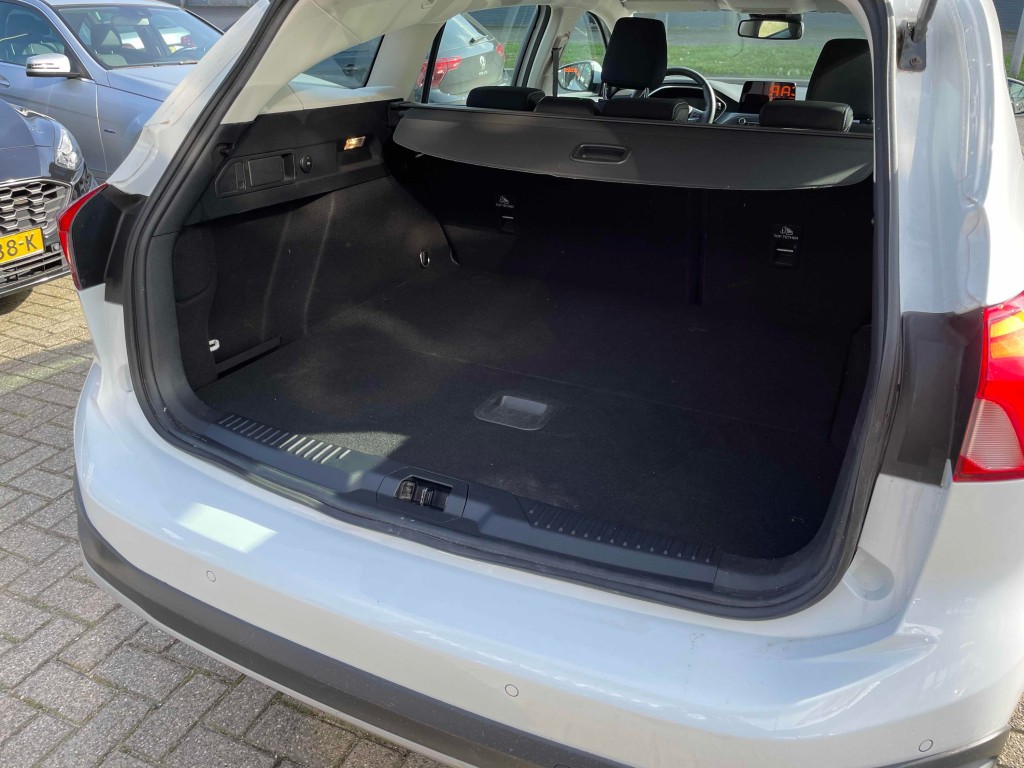 Trunk