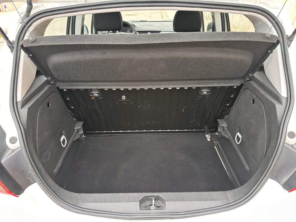 Trunk