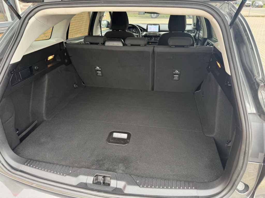 Trunk