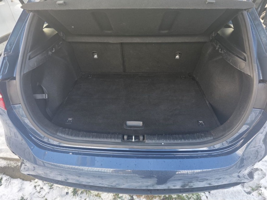 Trunk