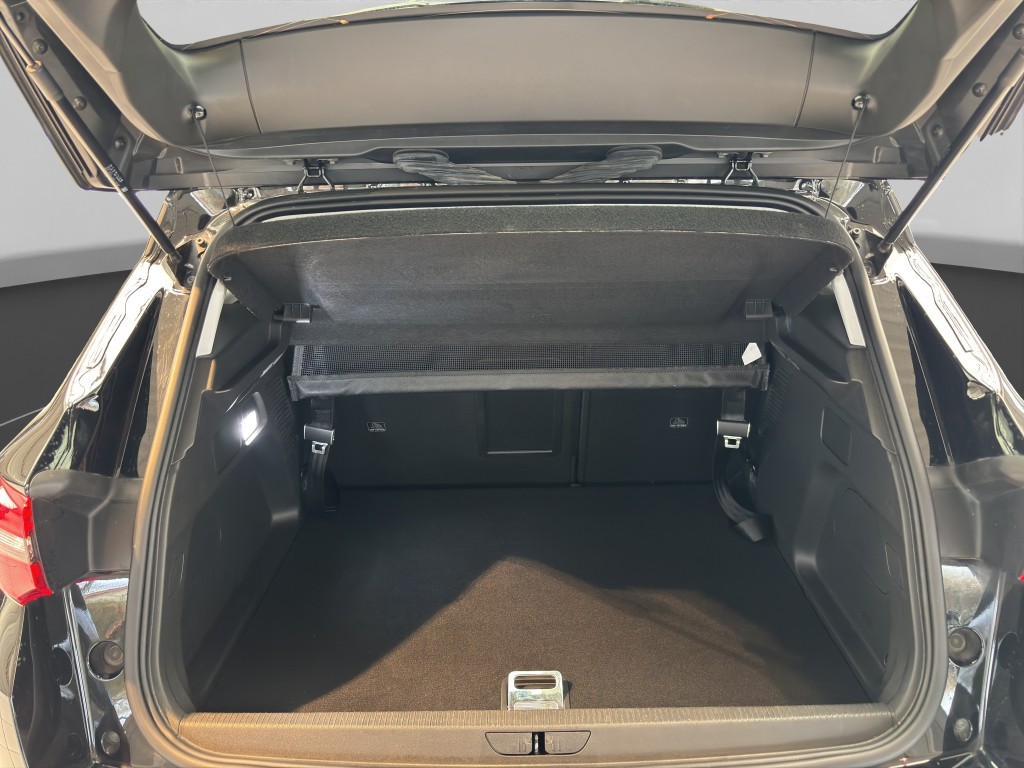 Trunk
