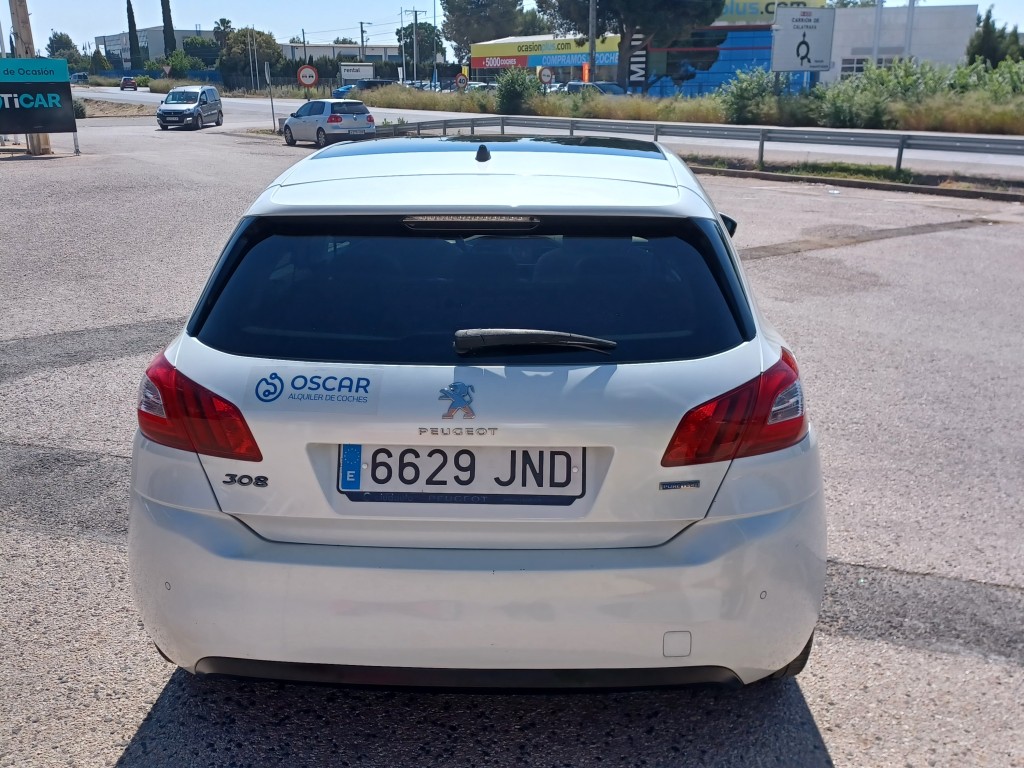 Back