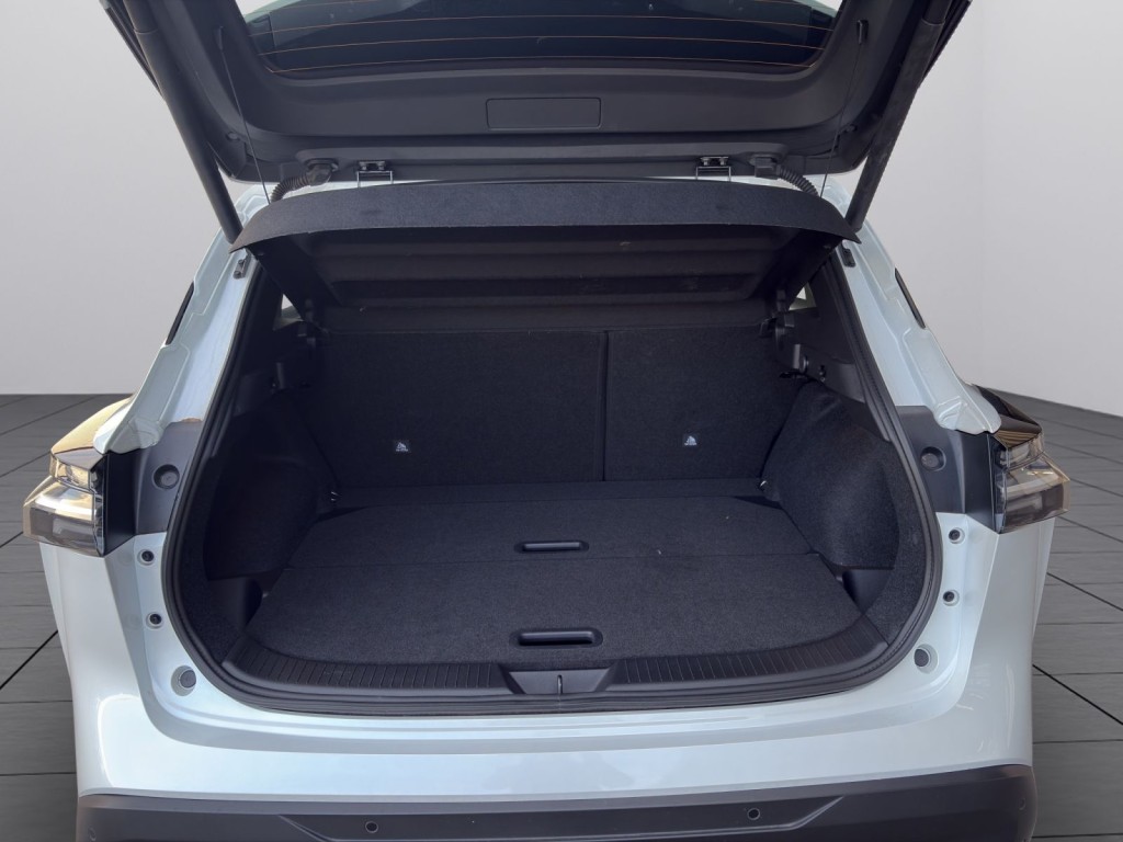 Trunk