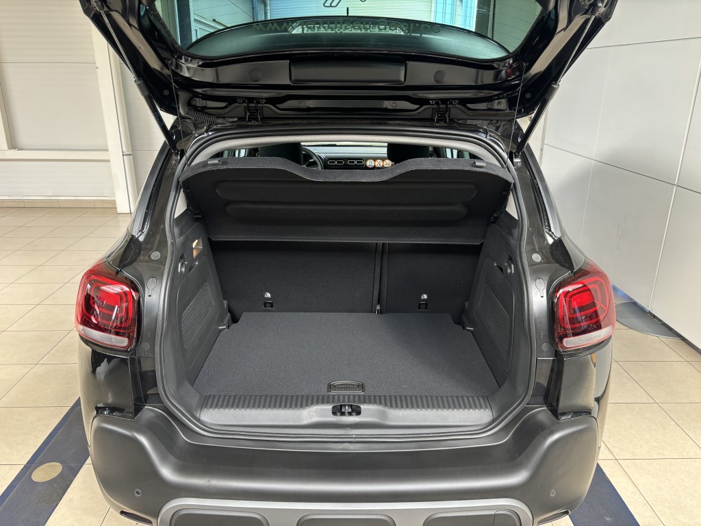 Trunk