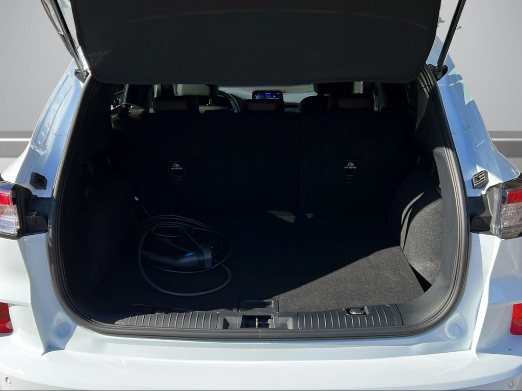 Trunk