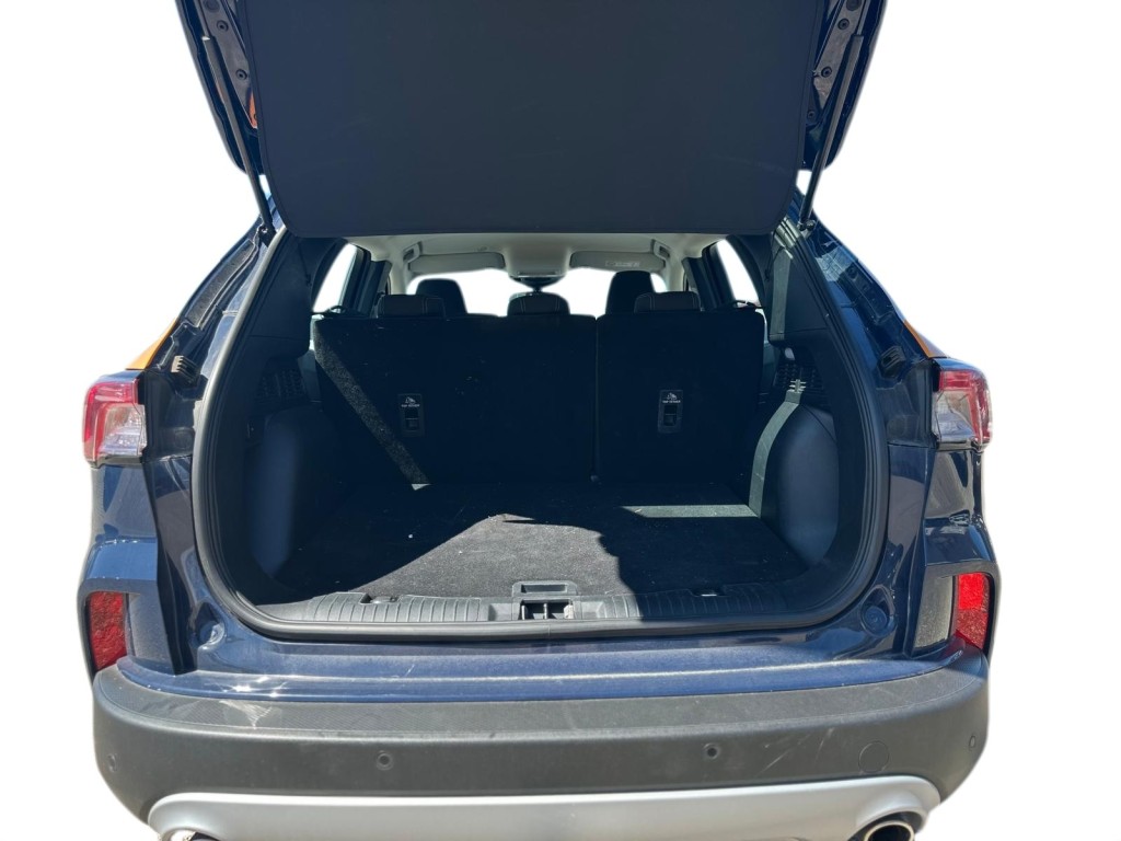 Trunk