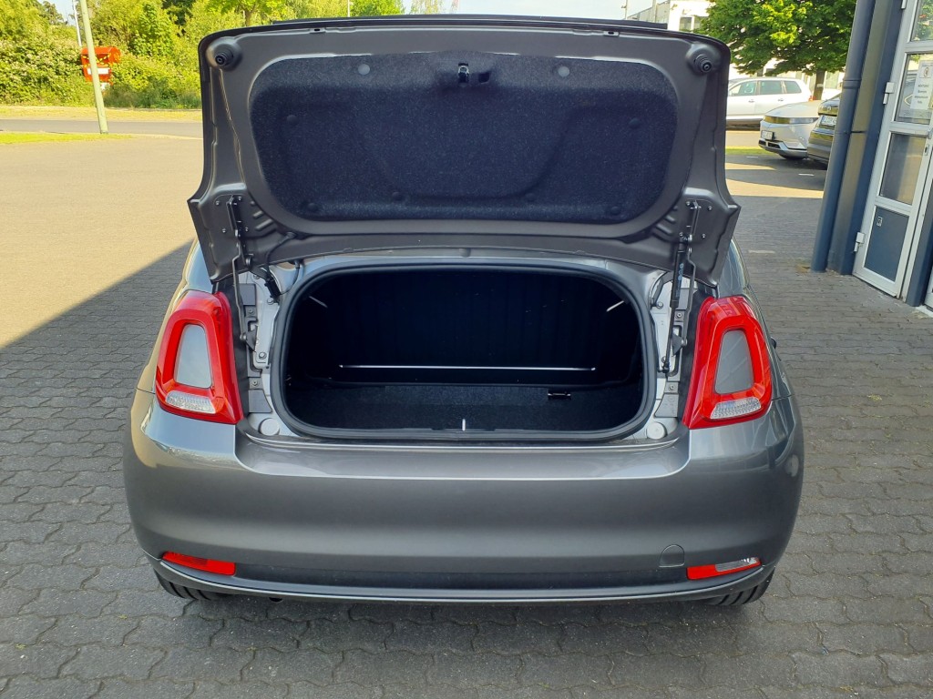 Trunk