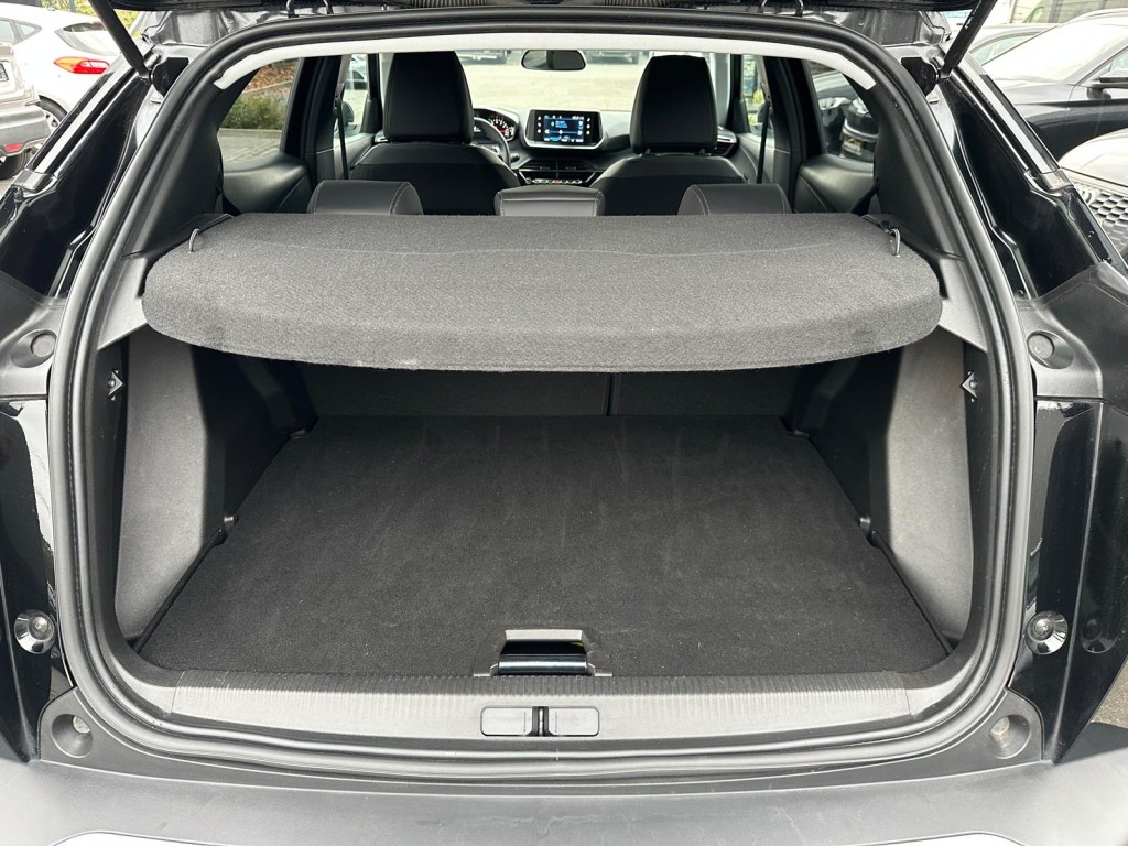 Trunk