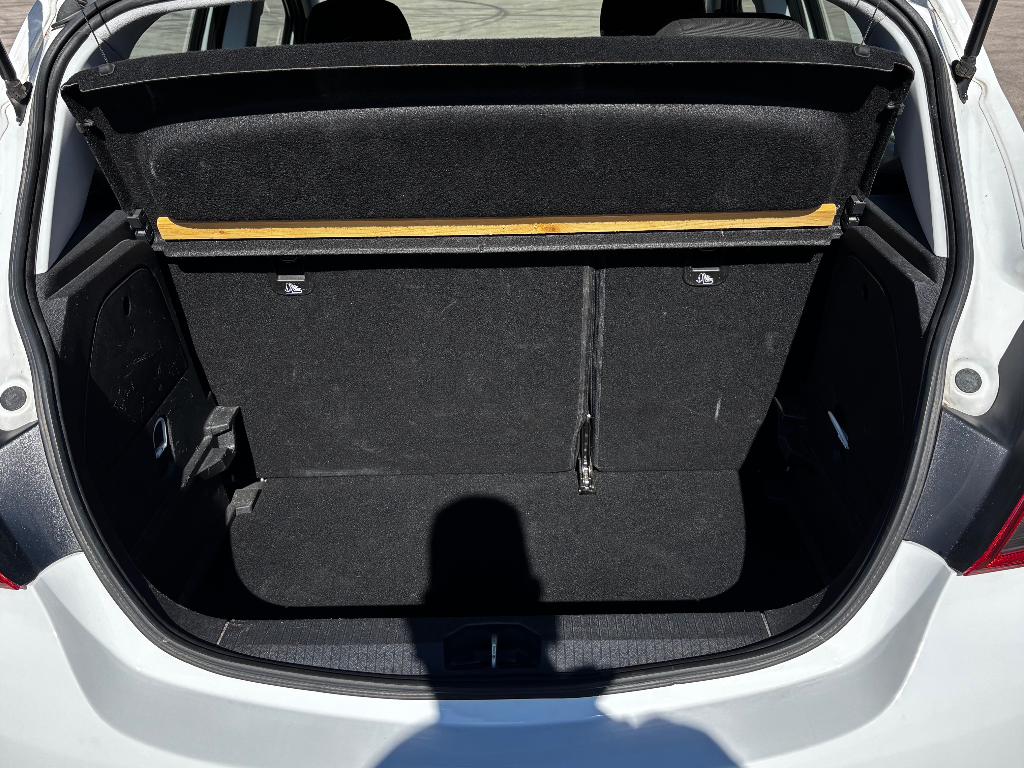 Trunk