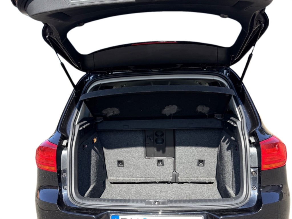 Trunk