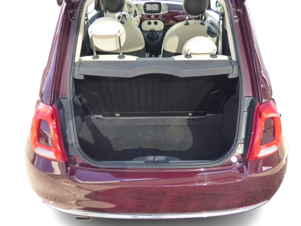 Trunk