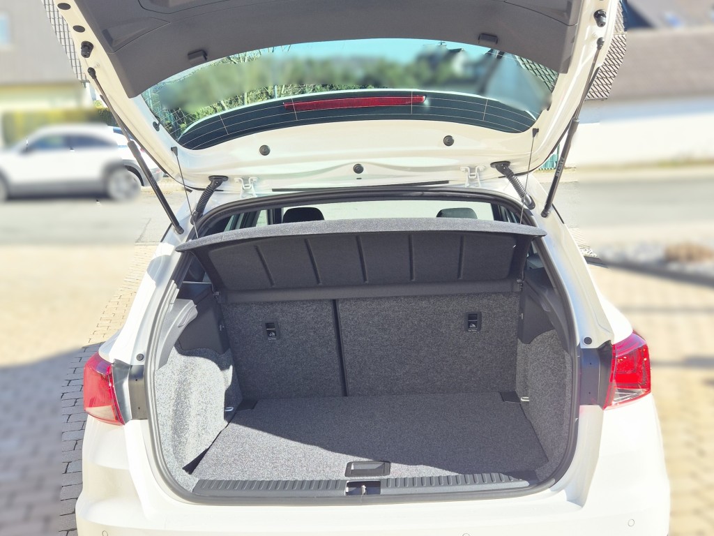 Trunk