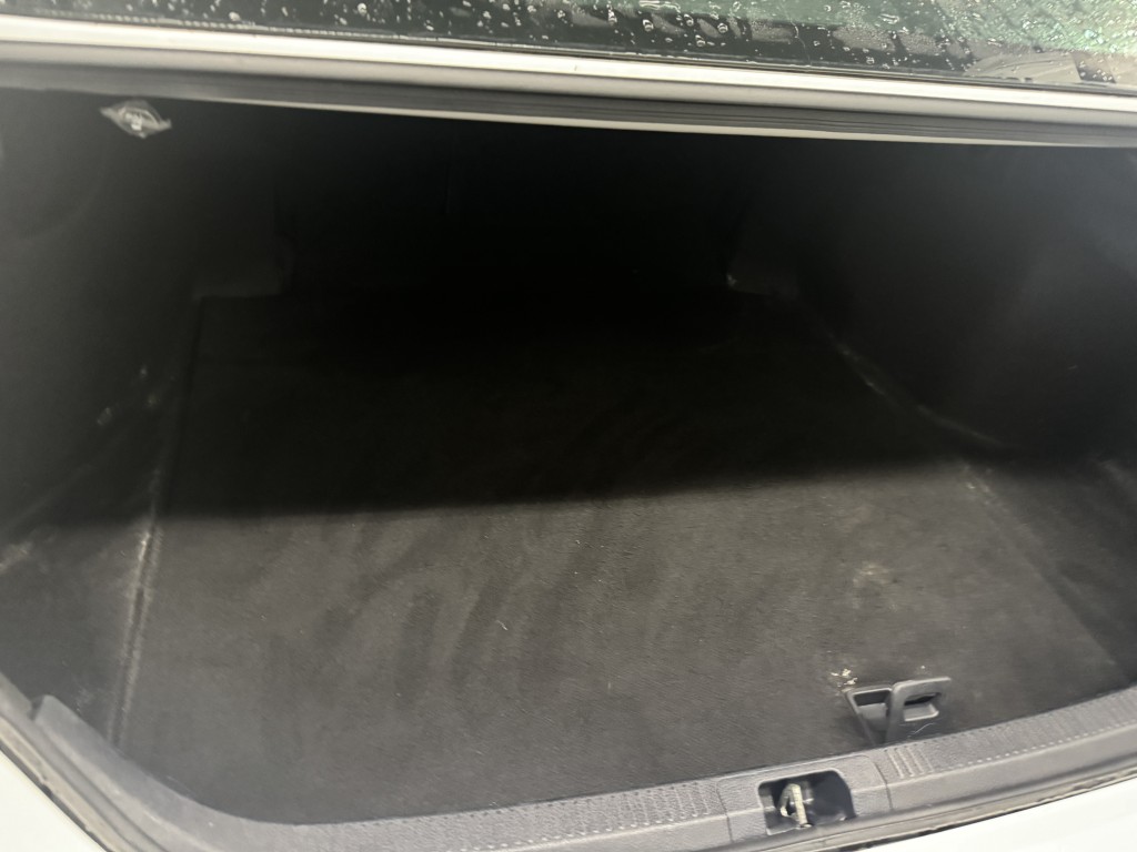 Trunk