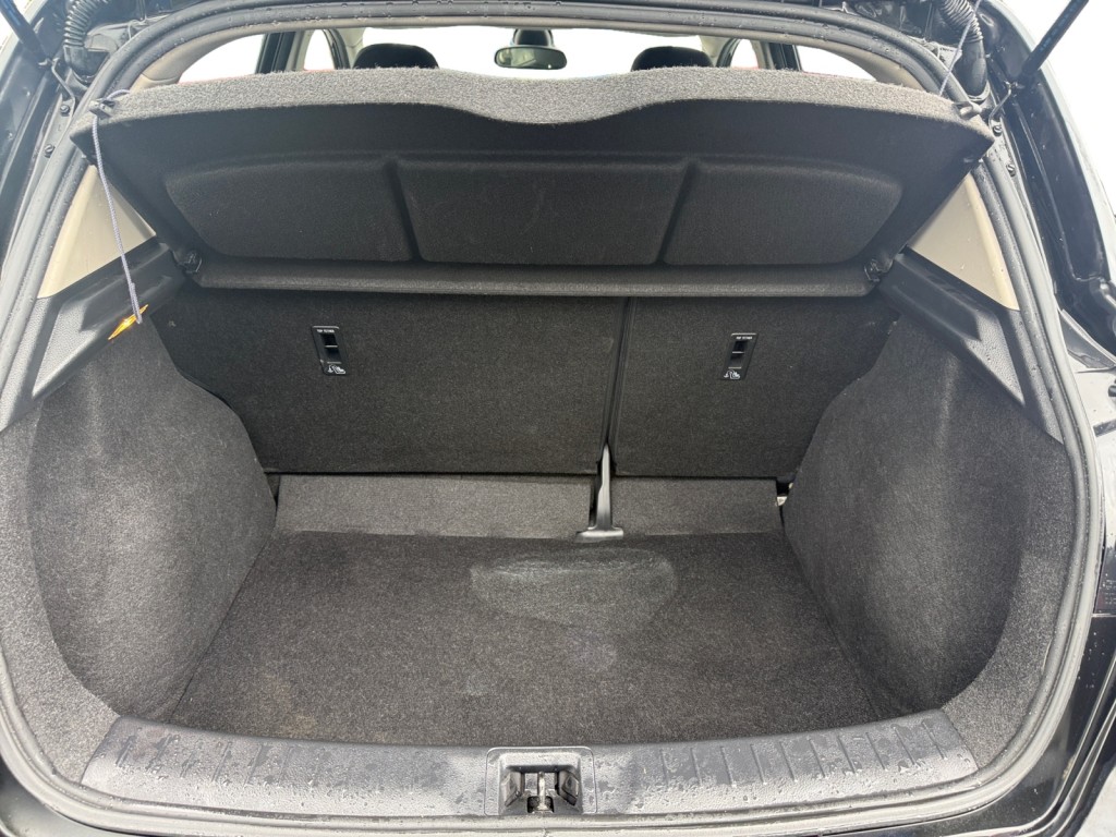 Trunk