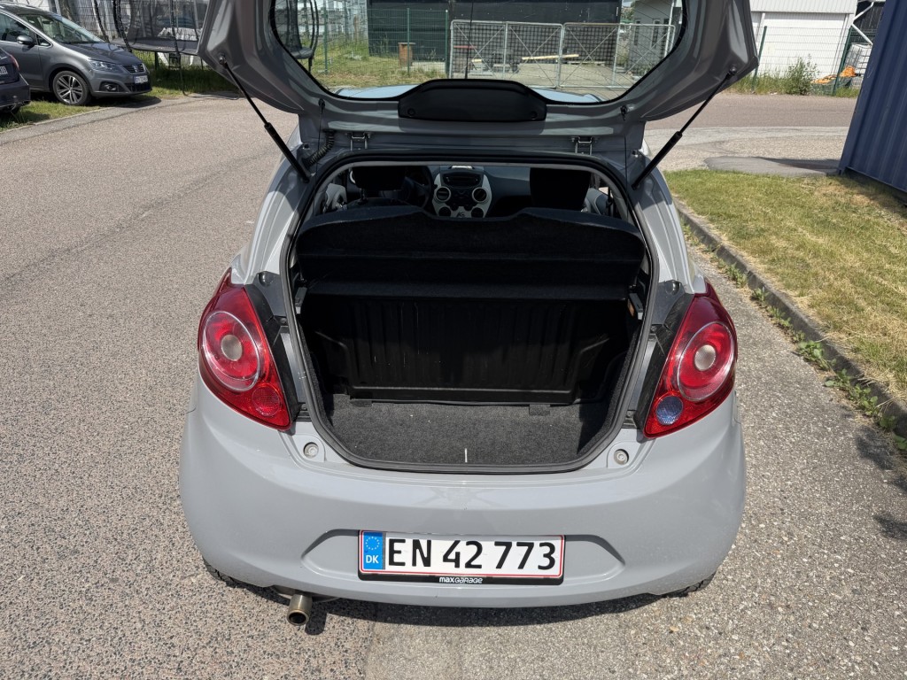 Trunk