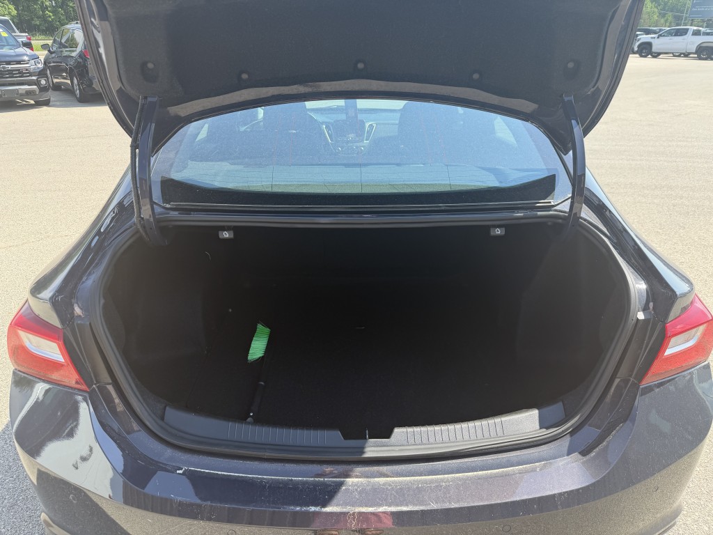 Trunk