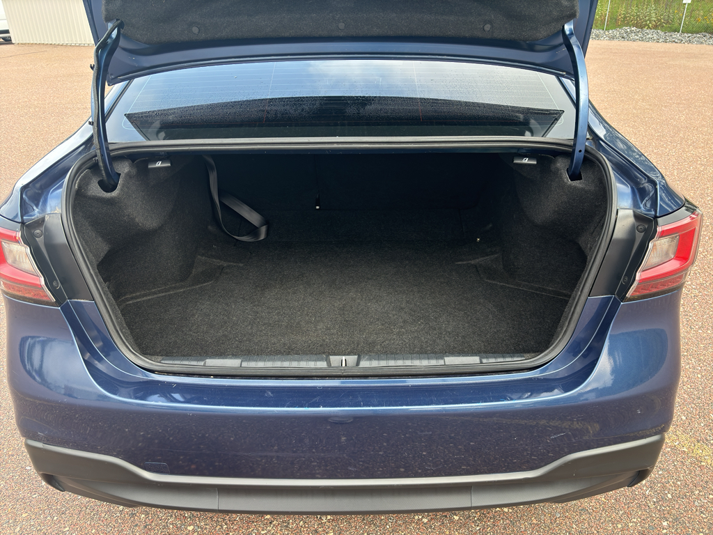 Trunk