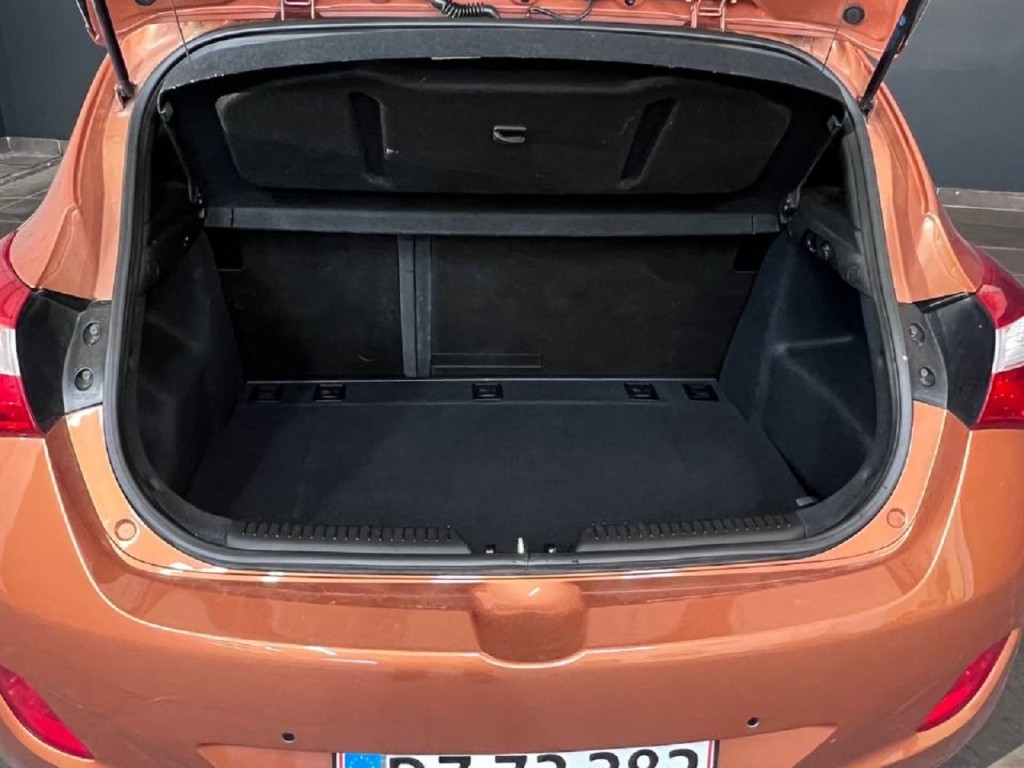 Trunk