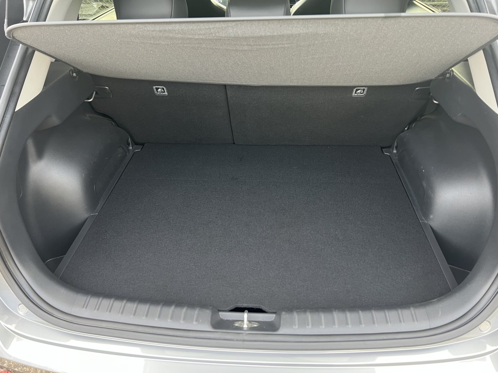 Trunk