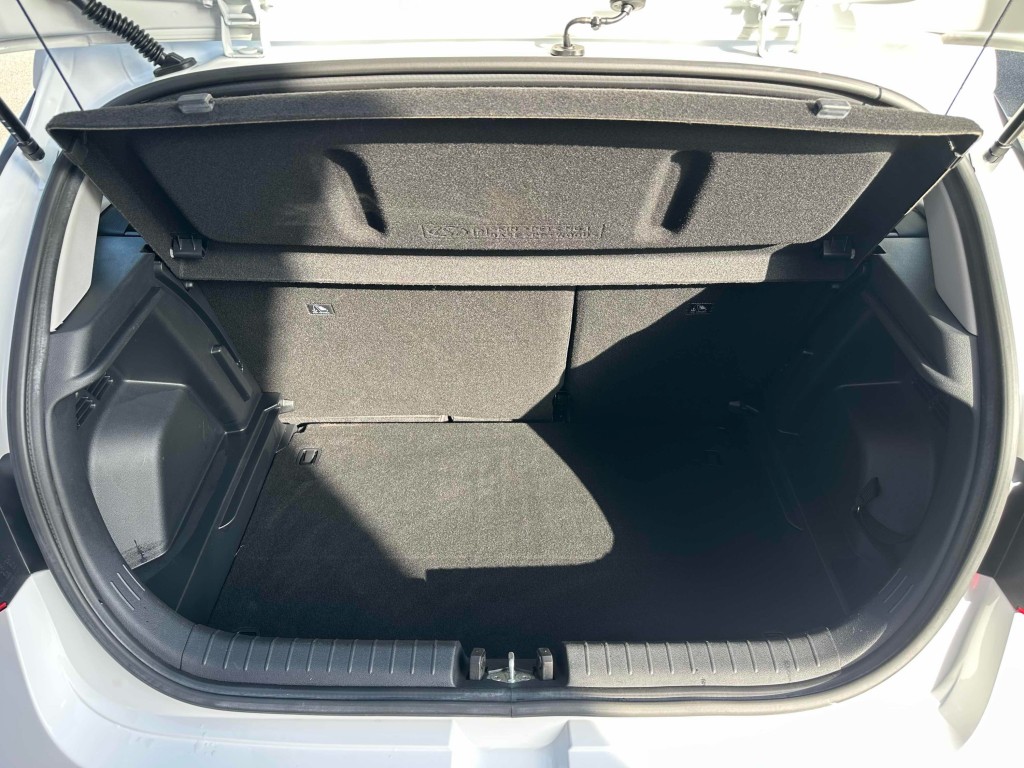 Trunk
