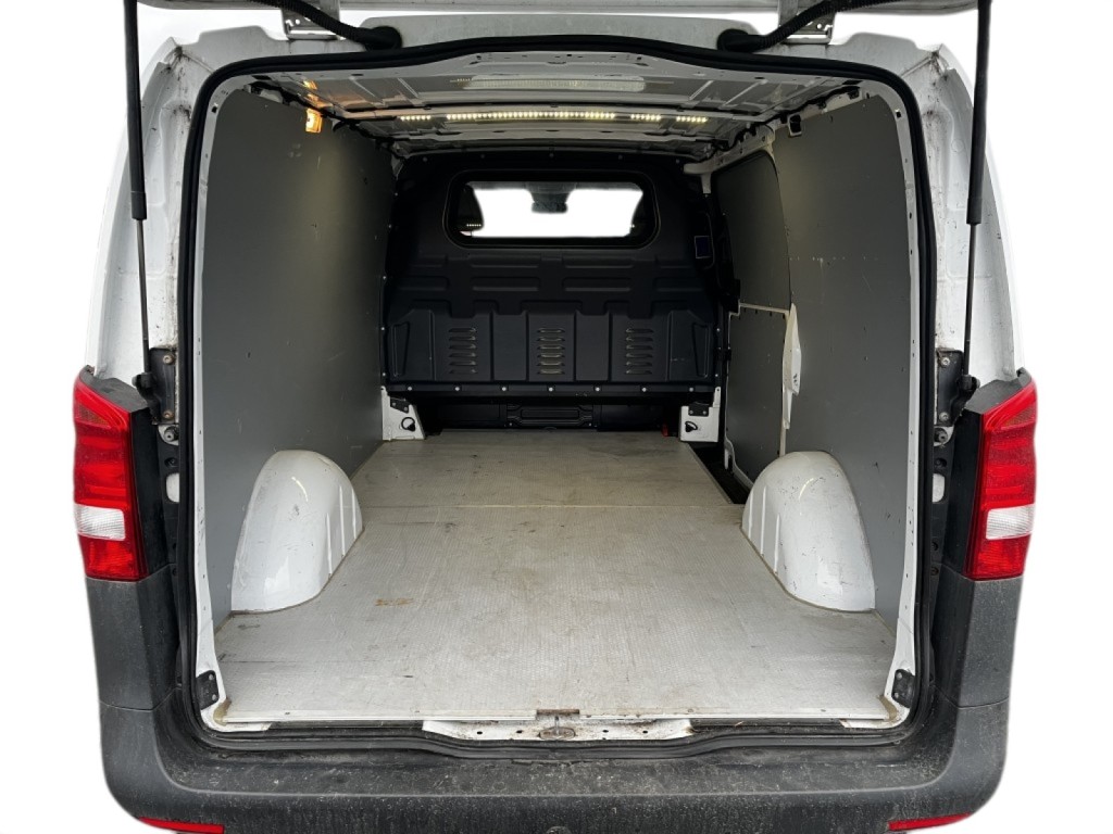 Trunk