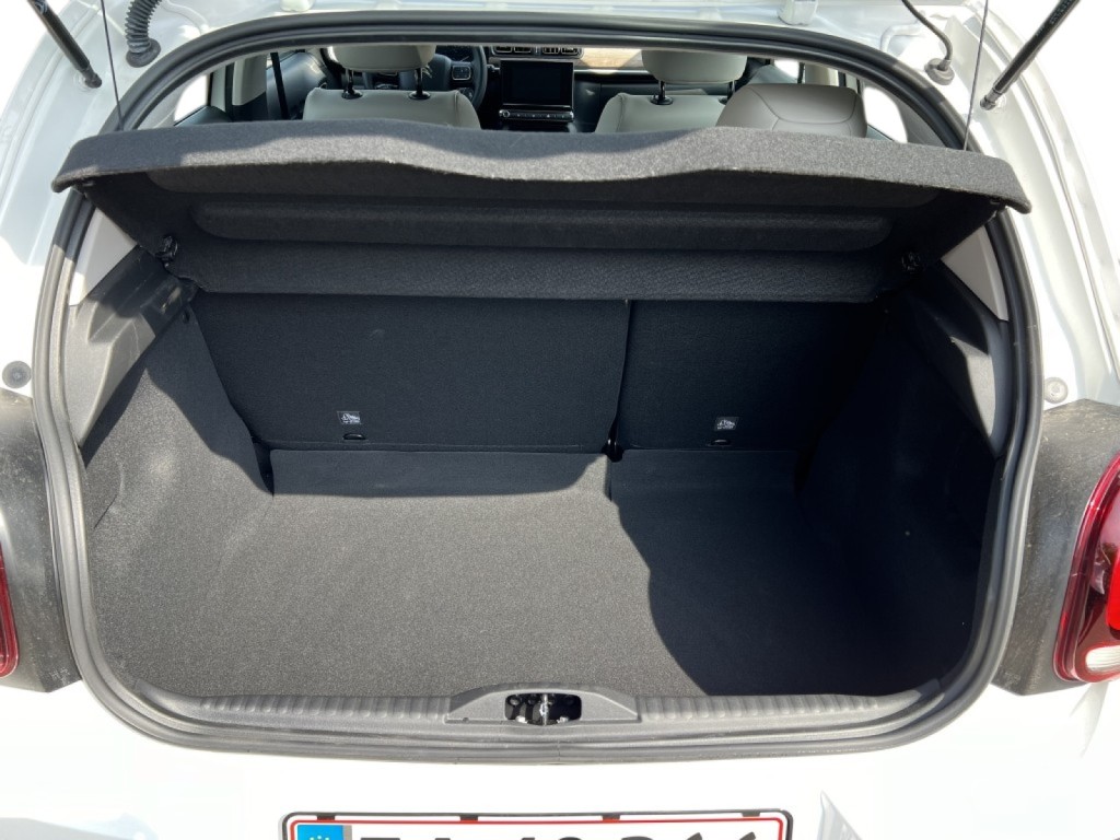 Trunk