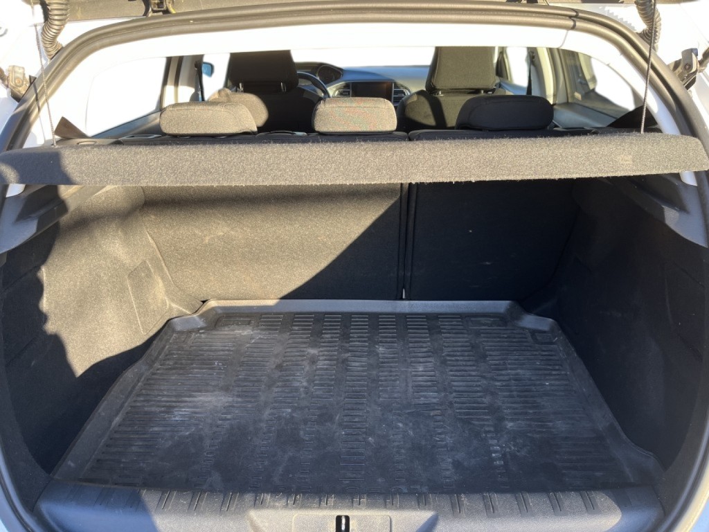 Trunk