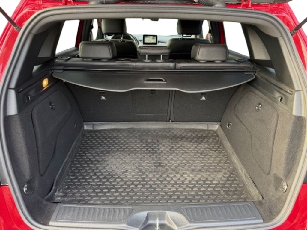Trunk