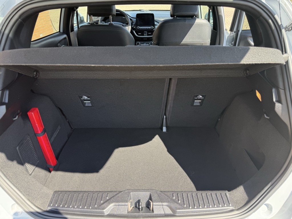 Trunk