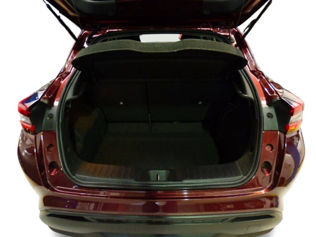 Trunk