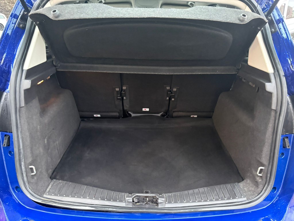 Trunk