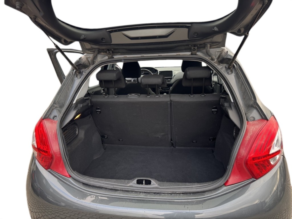 Trunk