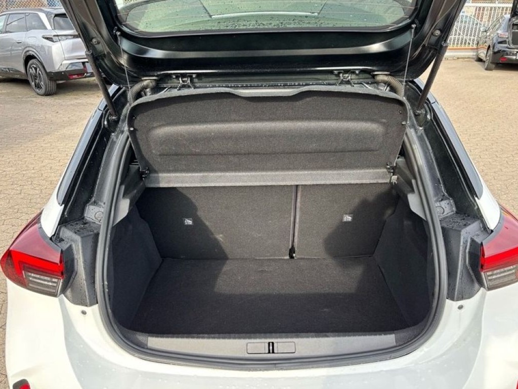 Trunk