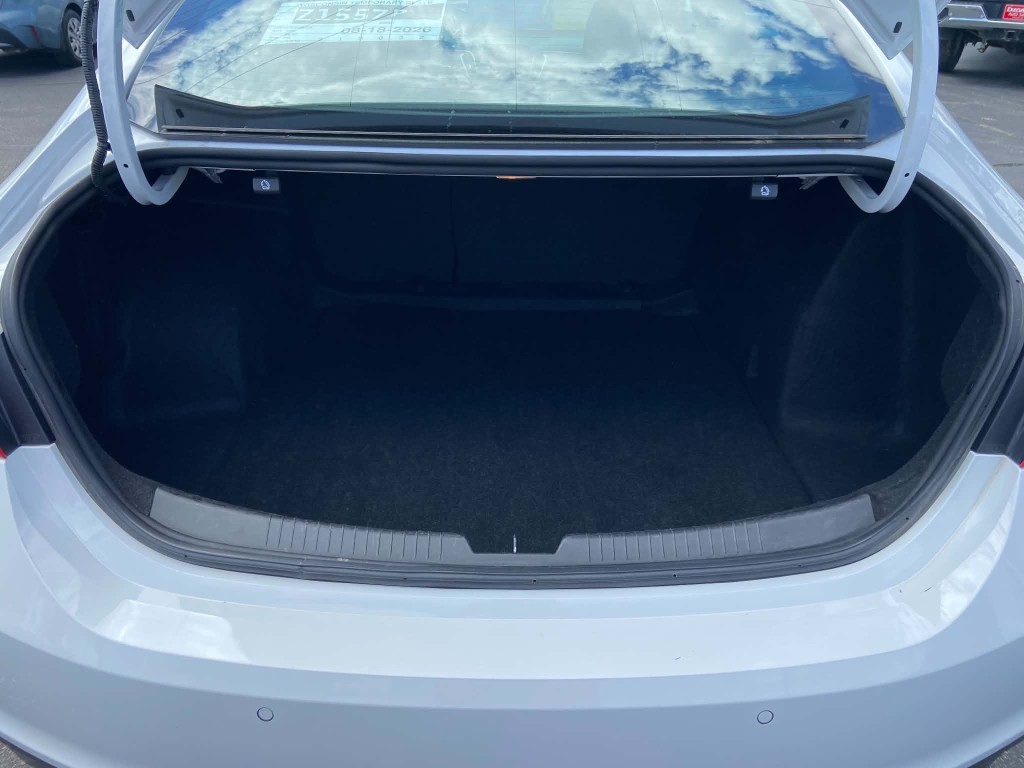 Trunk