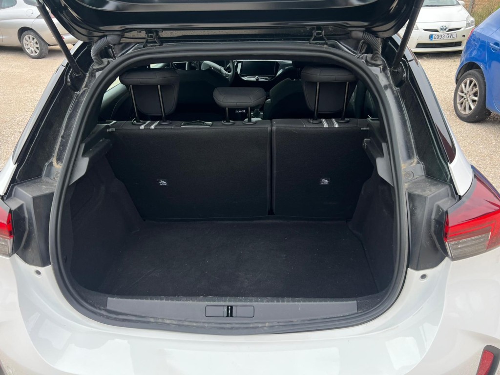 Trunk
