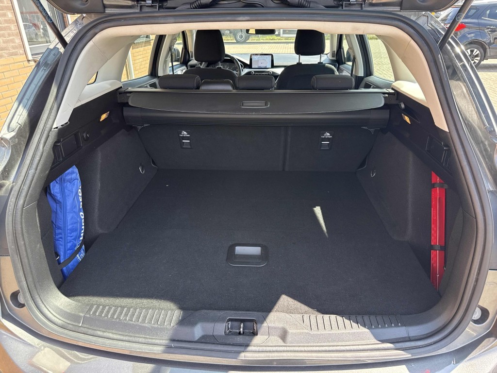 Trunk