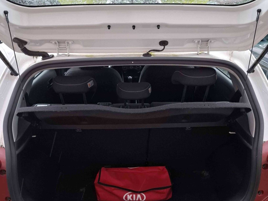 Trunk
