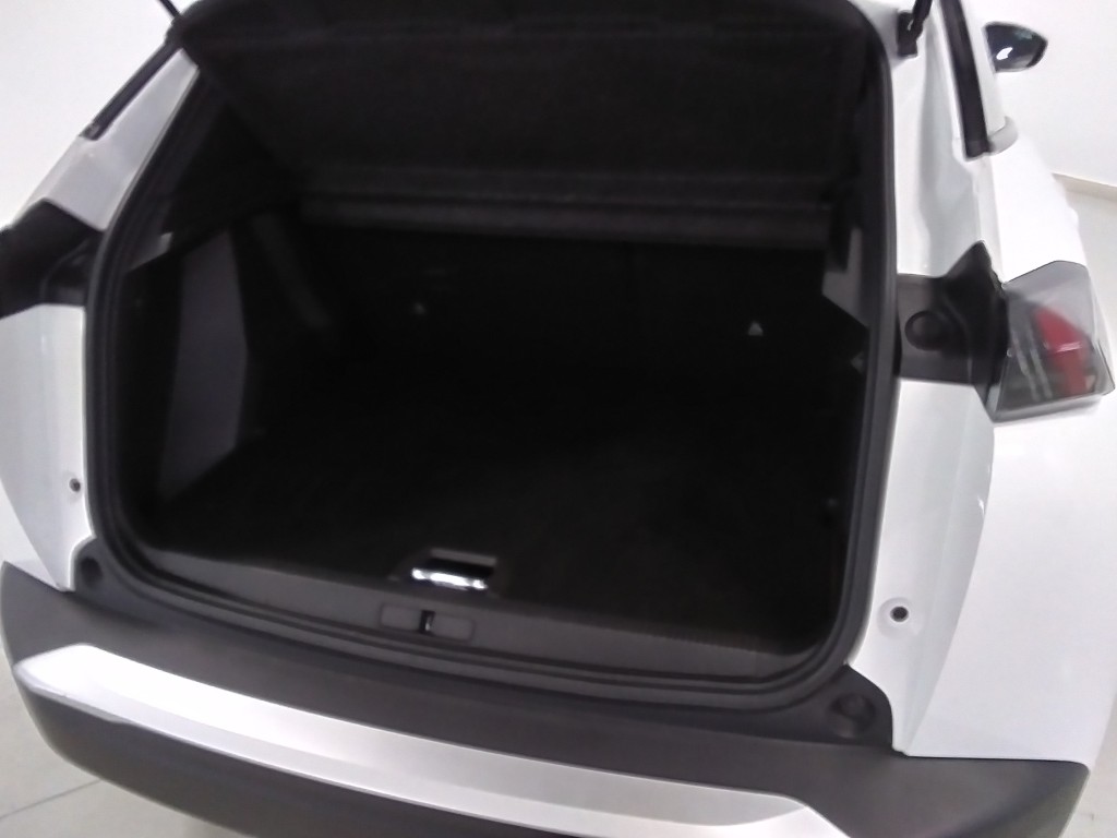 Trunk