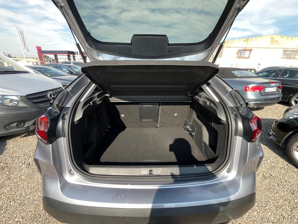 Trunk