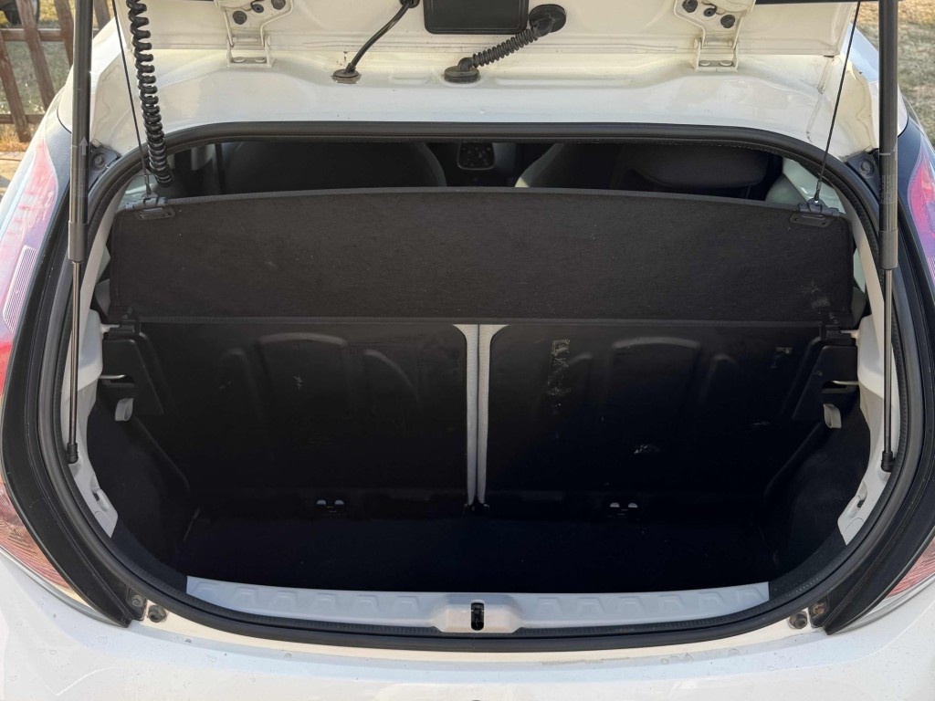 Trunk